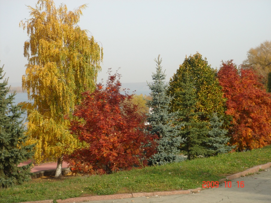 Осень в самаре картинки