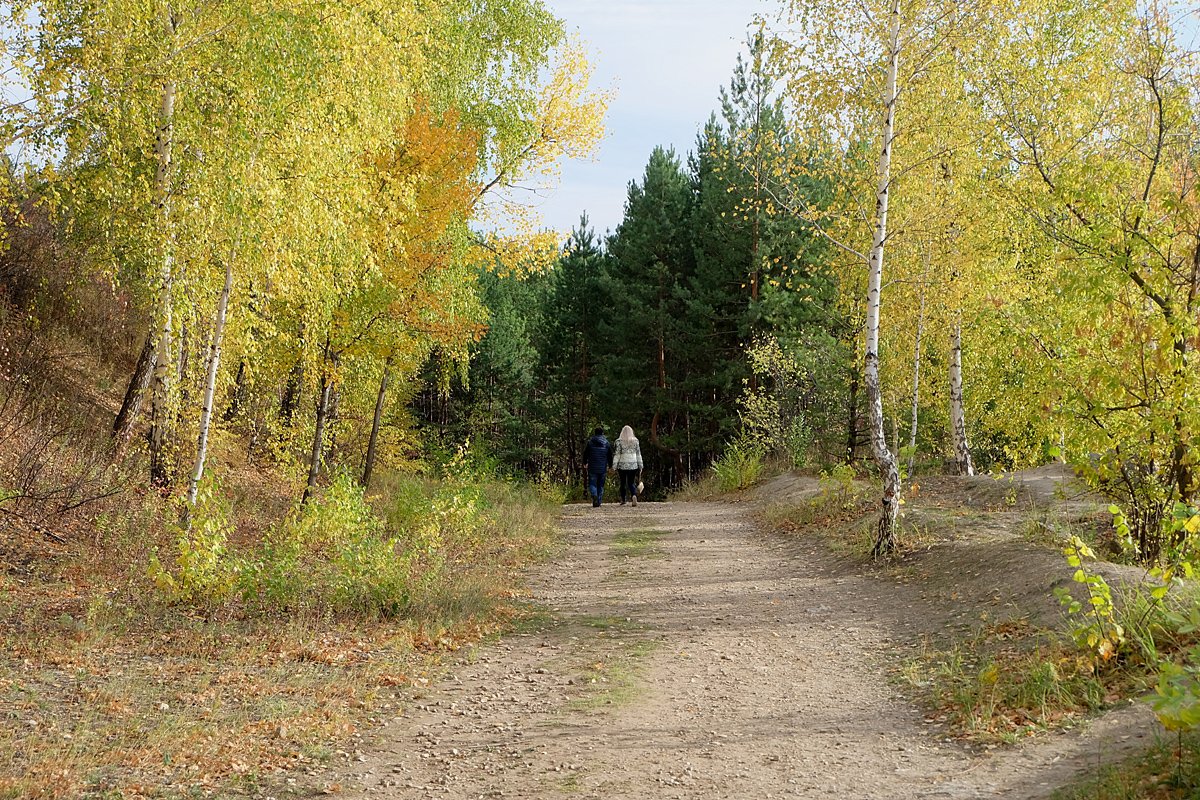 Царев курган в самаре фото