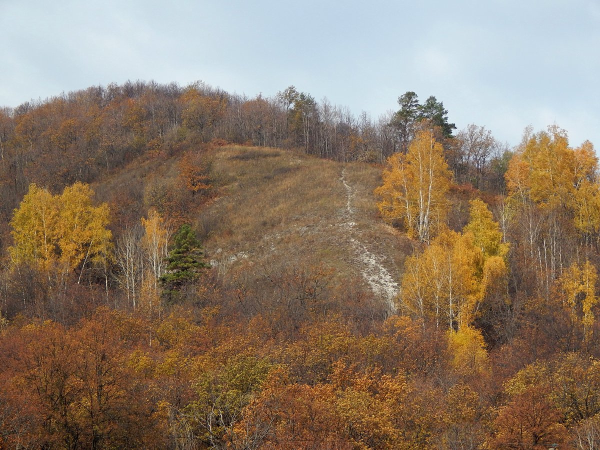 Россия - Самарская Лука. Фото №30