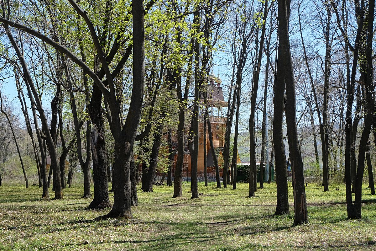 Россия - Самарская Лука. Фото №9