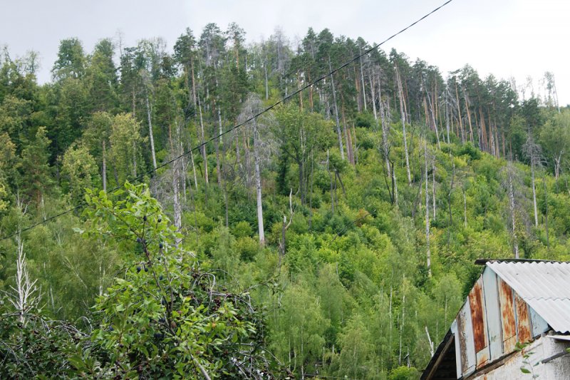 Самарская Лука - Фото №14