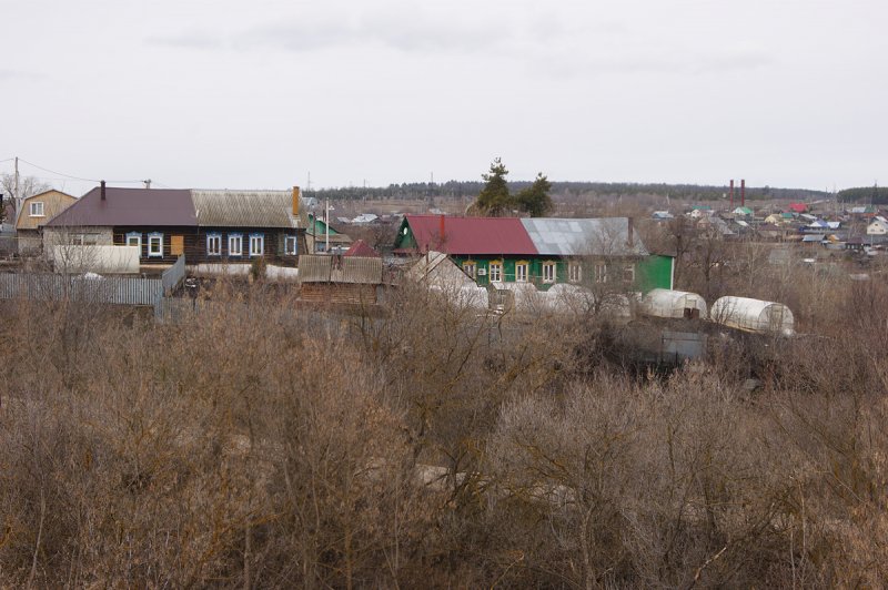 Растения самарской области фото