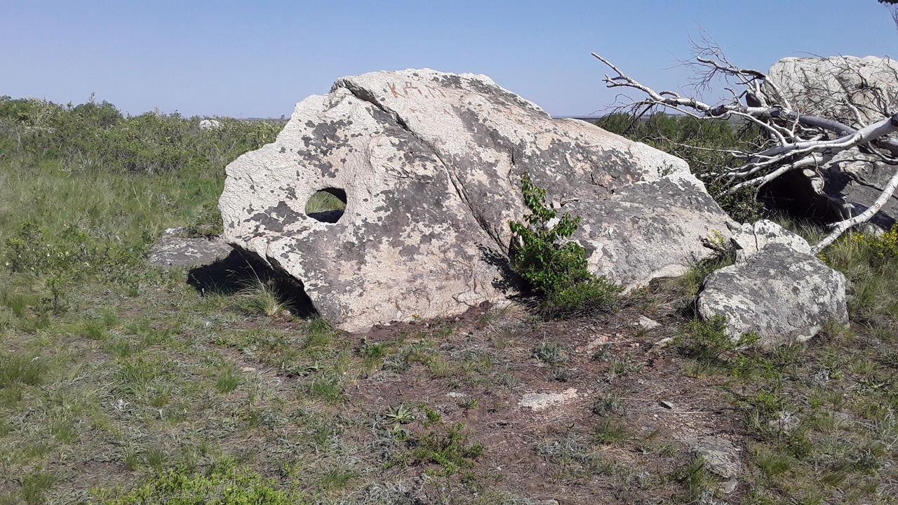 Фото джабык карагайский бор