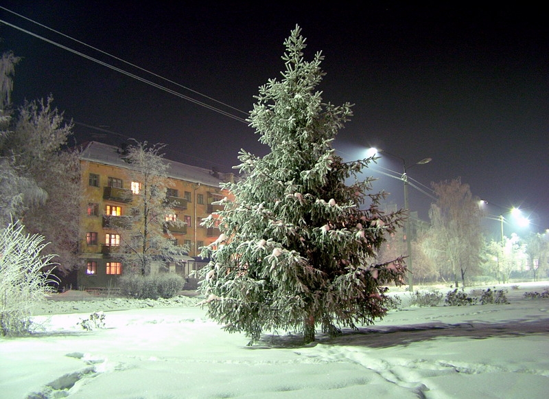 Мой родной Шадринск