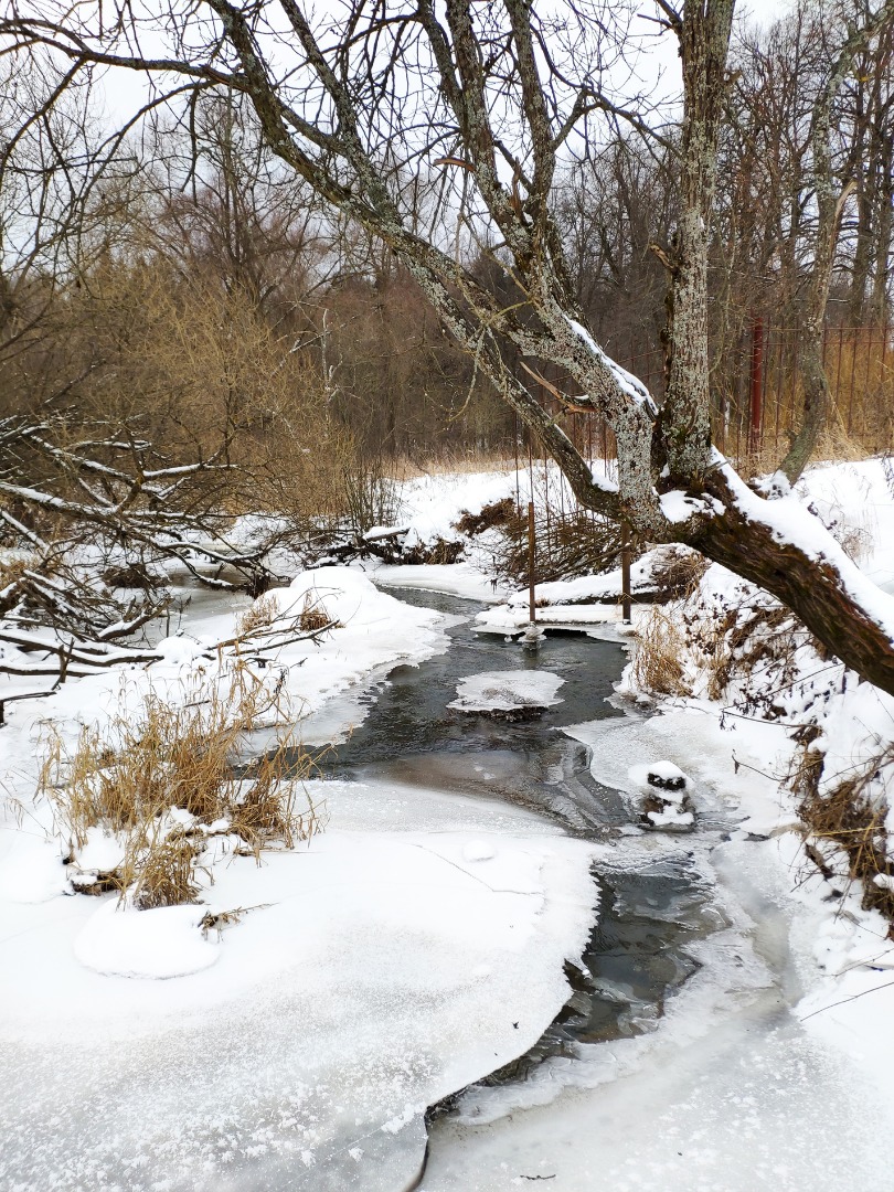 Сильный утренний мороз сковал ручьи. Река Горетовка Сходня. Реки скованы льдом. Река была скована льдом. Мороз сковал речку льдом.