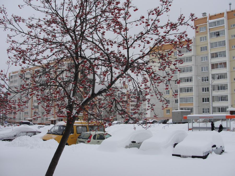 Снежинск - Фото №27