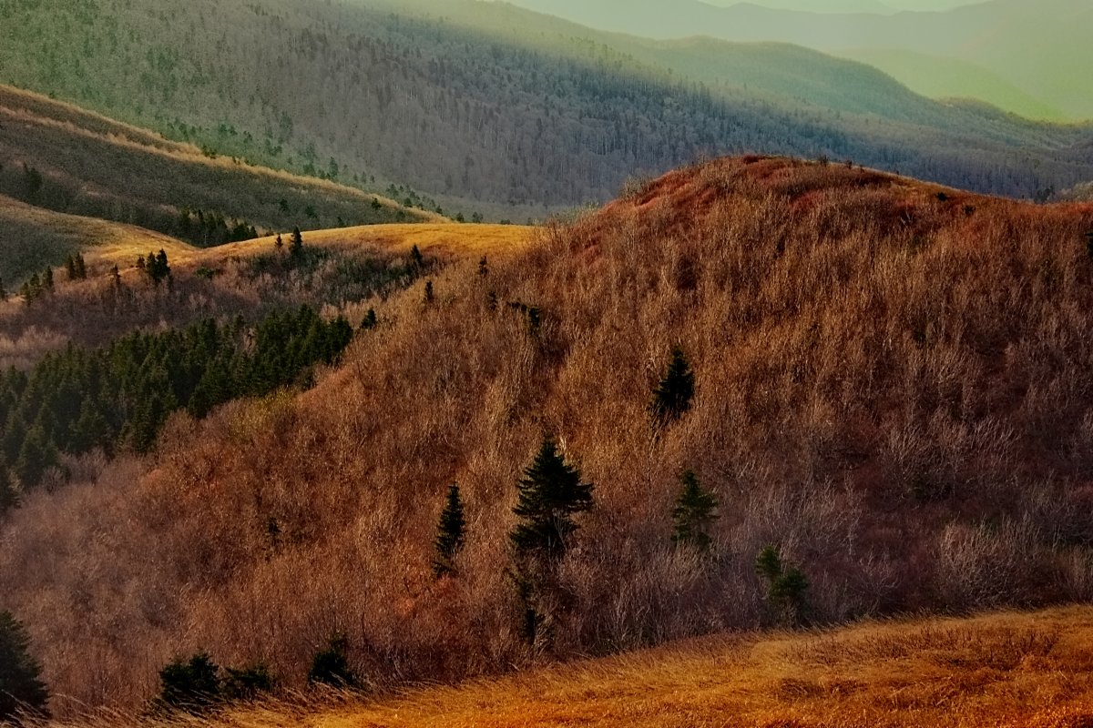 Южные склоны гор. Гора Семиглавая фото. Гора Семиглавая в июне.