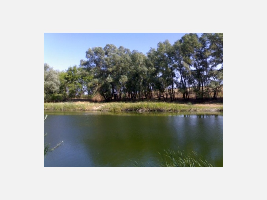 Россия - Суровикино. Фото №9