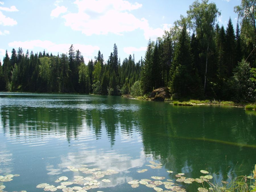 Озера брянской области
