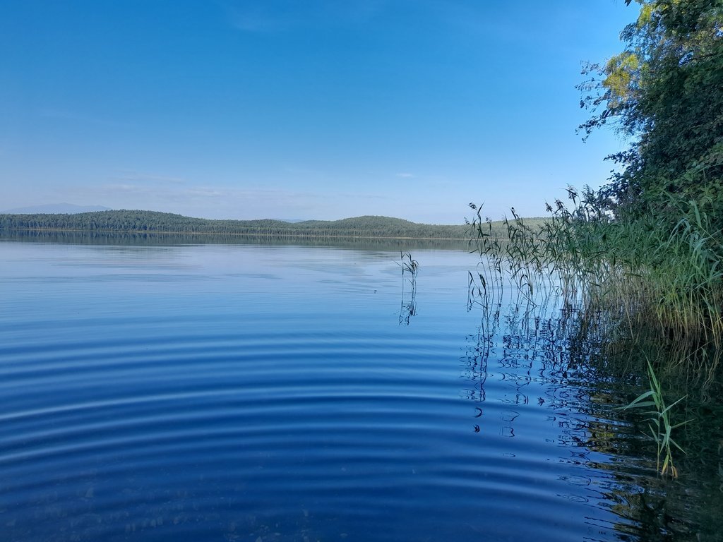 Россия - Светлое озеро. Фото №25