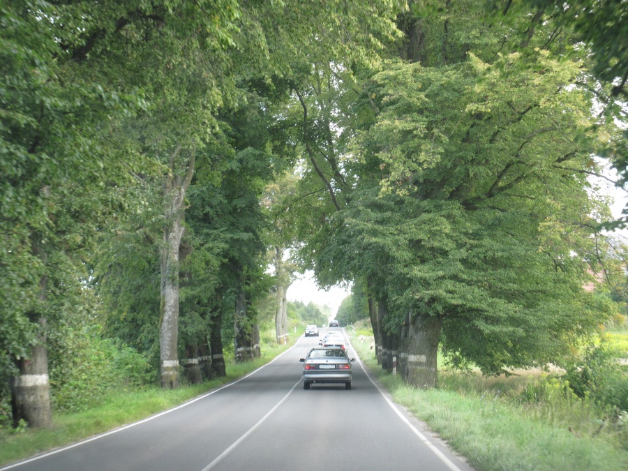 Фото дорог в калининграде