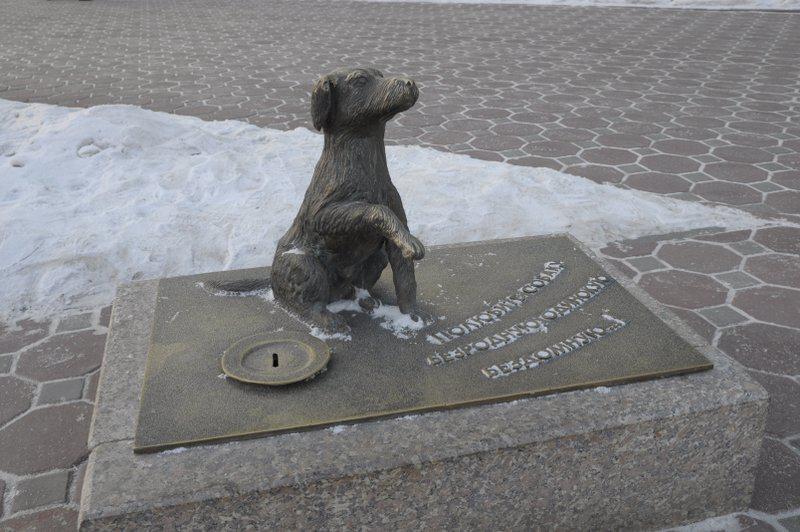 Собаки тюмень. Памятник бездомной дворняге в Тюмени. Памятник бездомной собаке в Тюмени. Памятник собаке в Тюмени. Памятник Петербургские дворняжки.