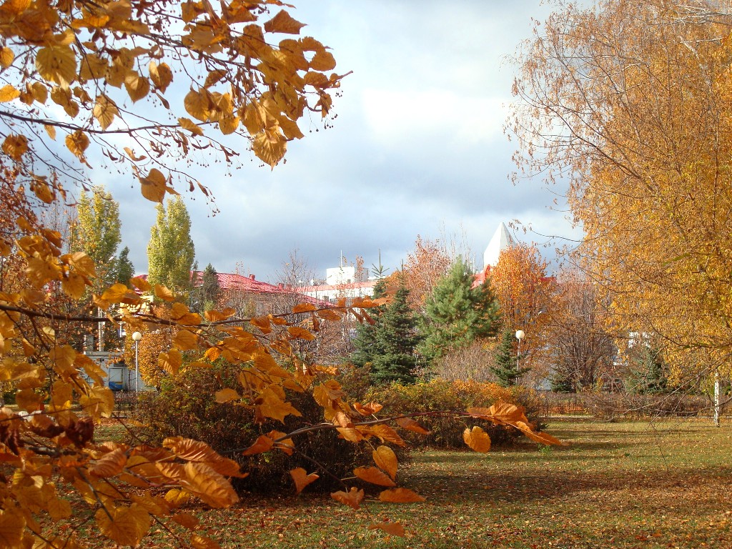 Осенний день картинки. Тольятти осенью парк. Осень в Тольятти парк центрального района. Осенний Тольятти. Тольятти осень.