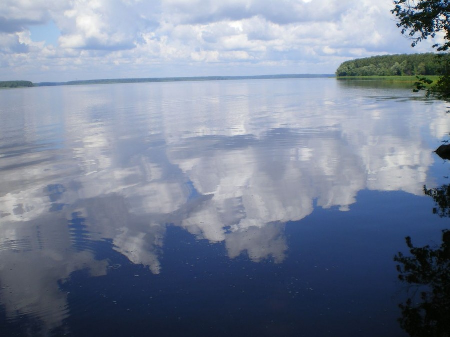 Россия - Учинское  водохранилище. Фото №10