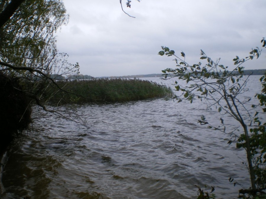 Учинское водохранилище фото