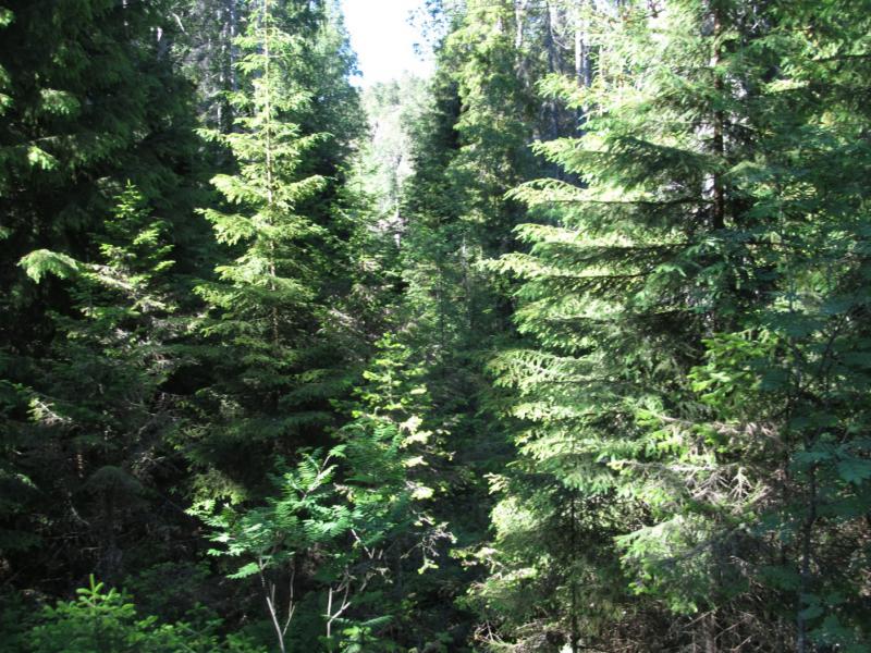 Россия - Валаам. Фото №11