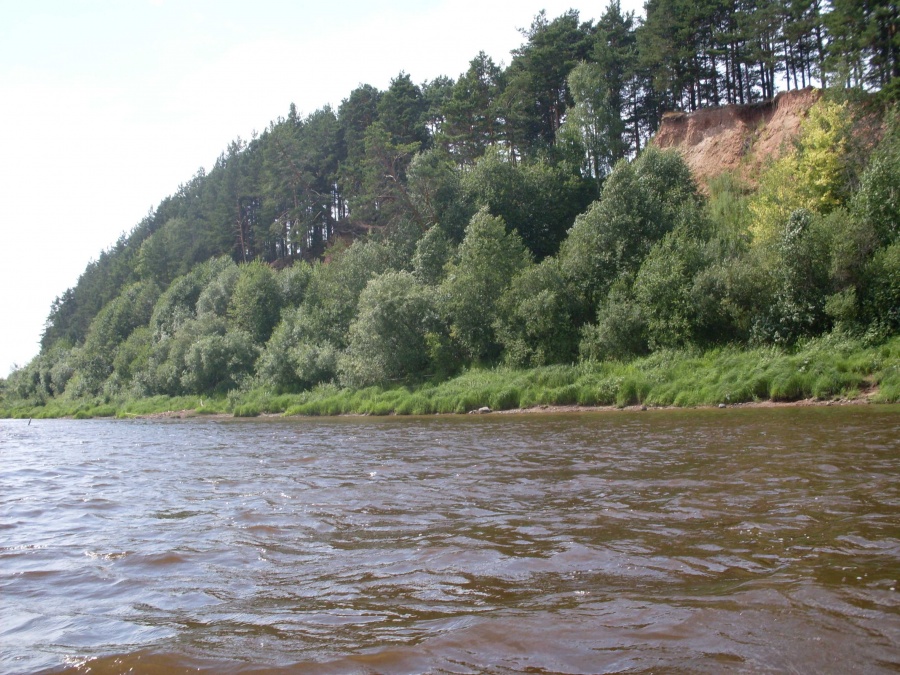 Ветлуга нижегородская область фото река