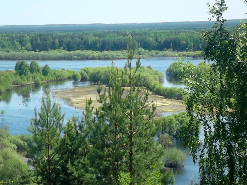 Варнавино нижегородская область фото