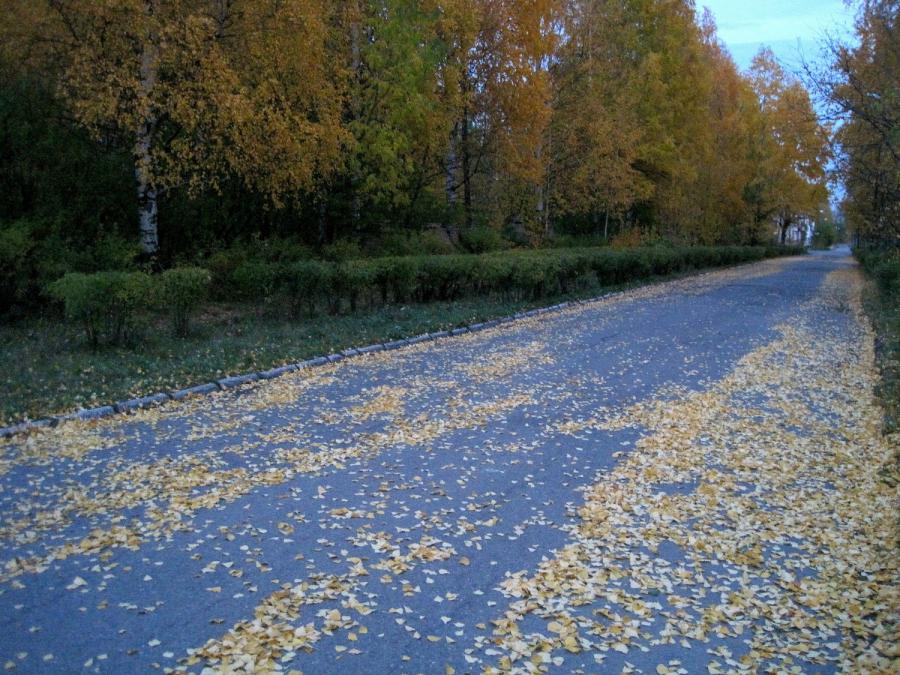 Дорога волчанск. Осени Волчанск. Волчанск вечером.