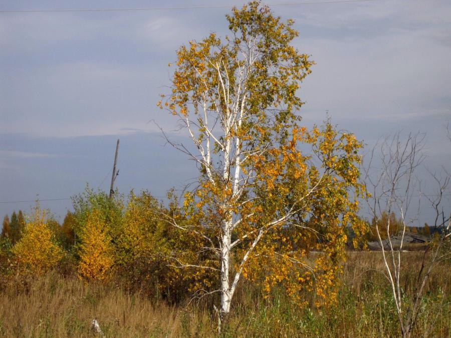 Россия - Волчанск. Фото №18