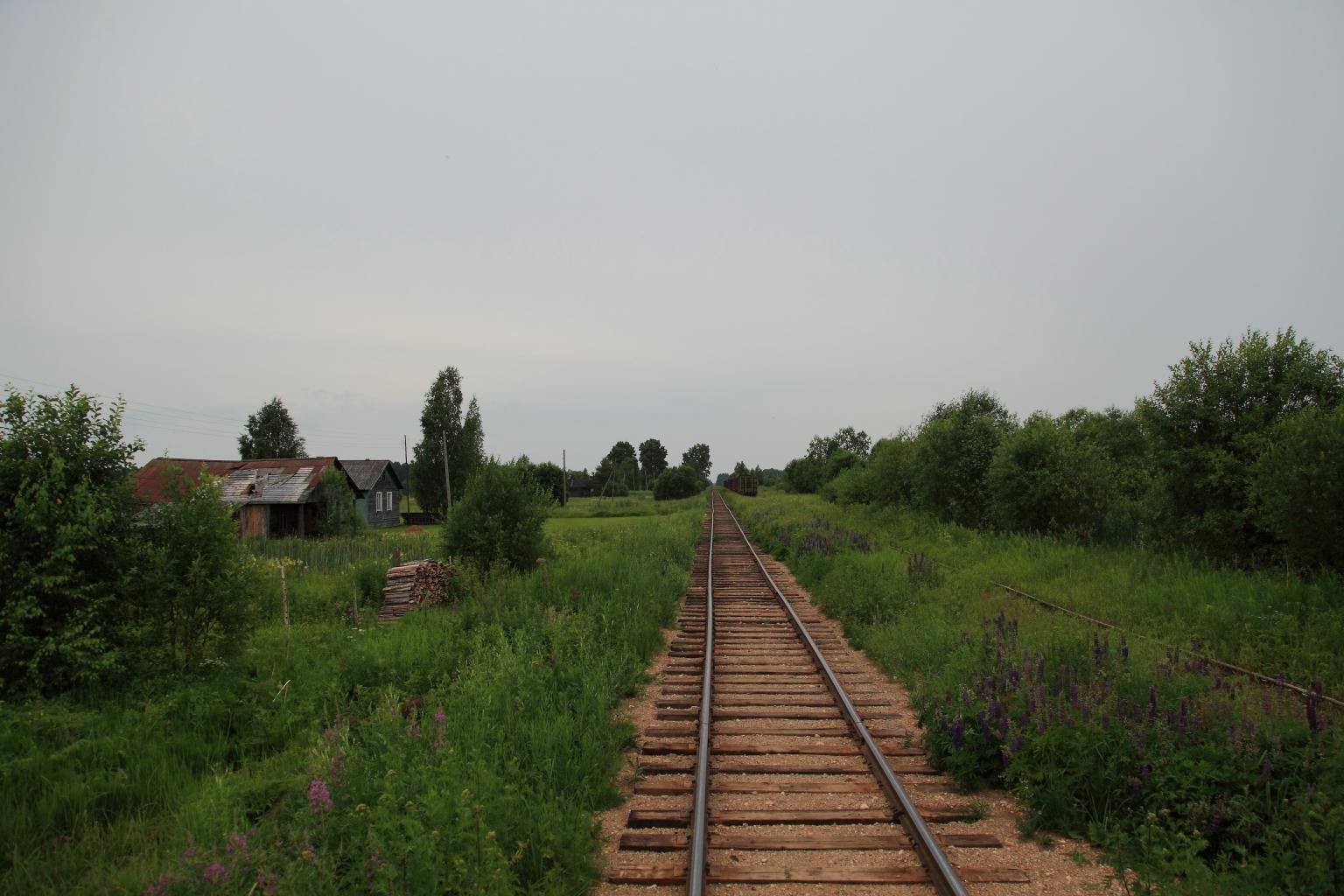 Вохтога старые фотографии