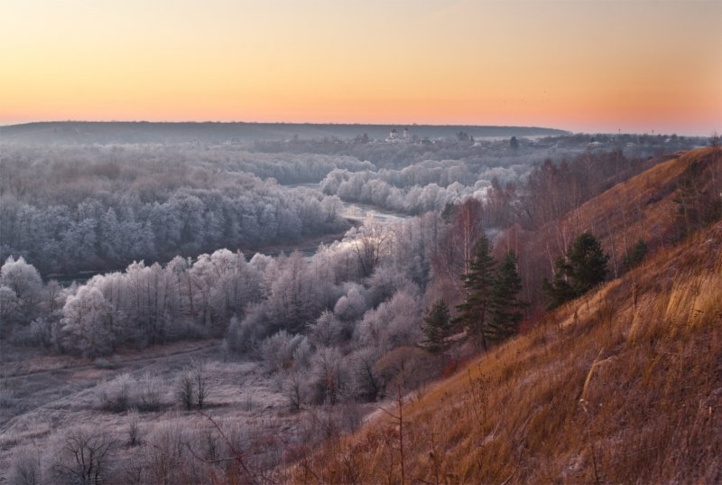 Природа воронежской области фото