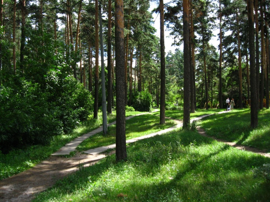 Заречный пензенская область. Заречный парк Пенза. Пенза-19 Заречный. Парк в городе Заречном. Лесной парк Заречный Пензенской обл.