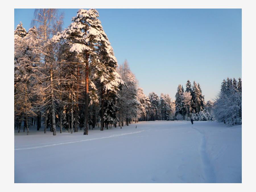 Россия - Зеленогорск. Фото №10