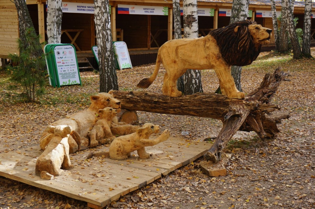 Россия - Томская область , Зоркальцево. Фото №10