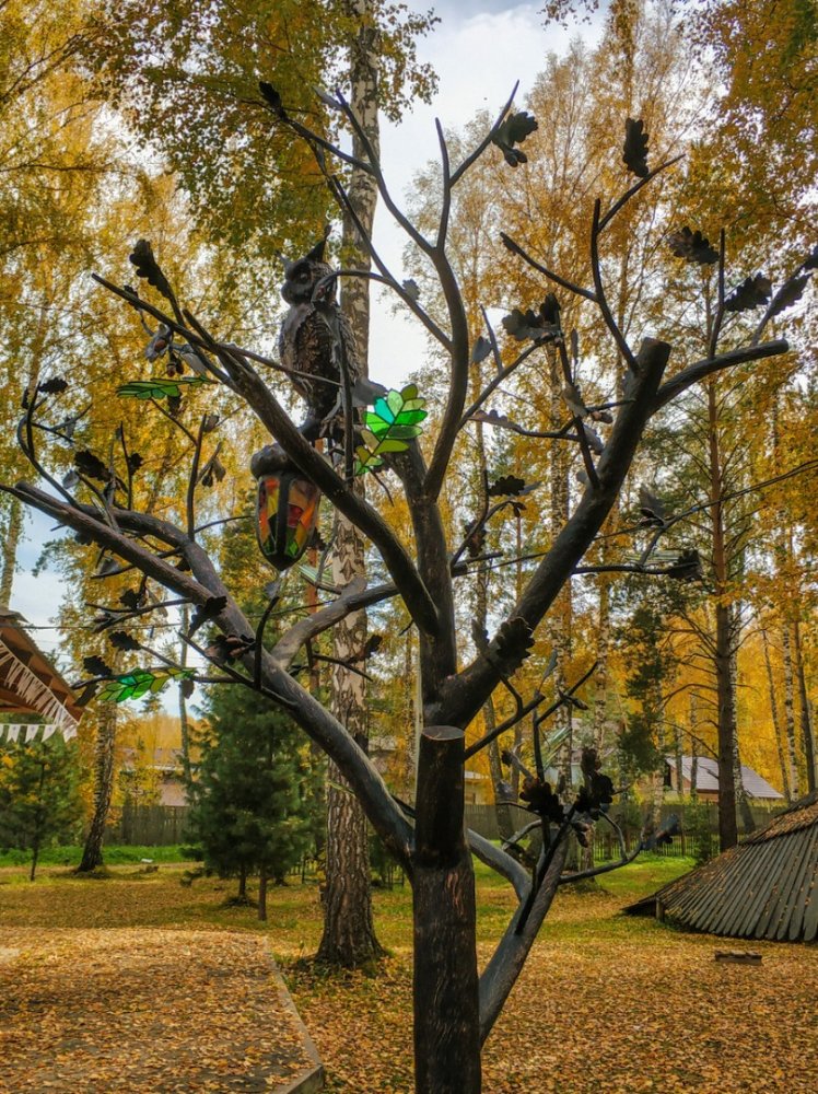 Россия - Томская область , Зоркальцево. Фото №162