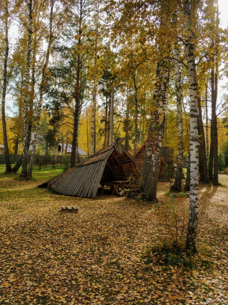 Россия - Томская область , Зоркальцево. Фото №163