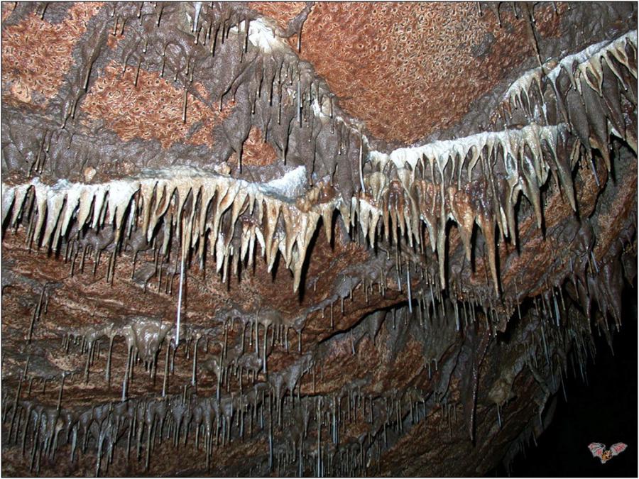 Пещера Лазаря - Фото №15