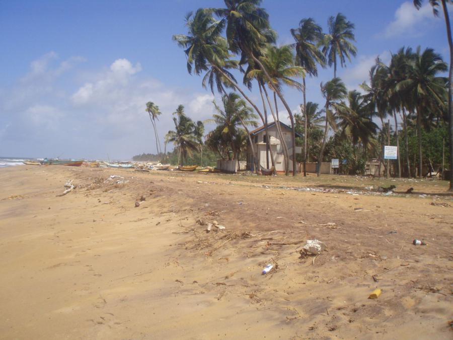 Шри-Ланка - Калутара. Фото №7