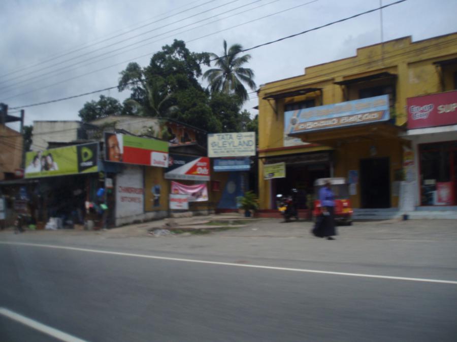 Шри-Ланка - Западно-Центральная провинция. Фото №11