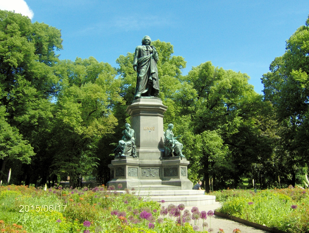 Памятник карле. Памятник Карлу Линнею. Парк Хумлегорден в Стокгольме. Карл Линней памятник. Памятник Линнею в Стокгольме.