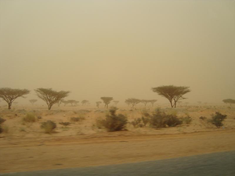 Судан - Хартум. Фото №23