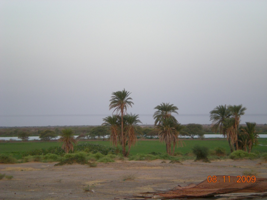 Судан - Медани. Фото №9
