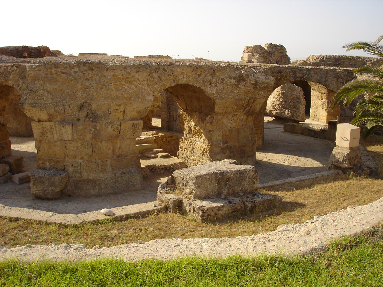 карфаген в тунисе