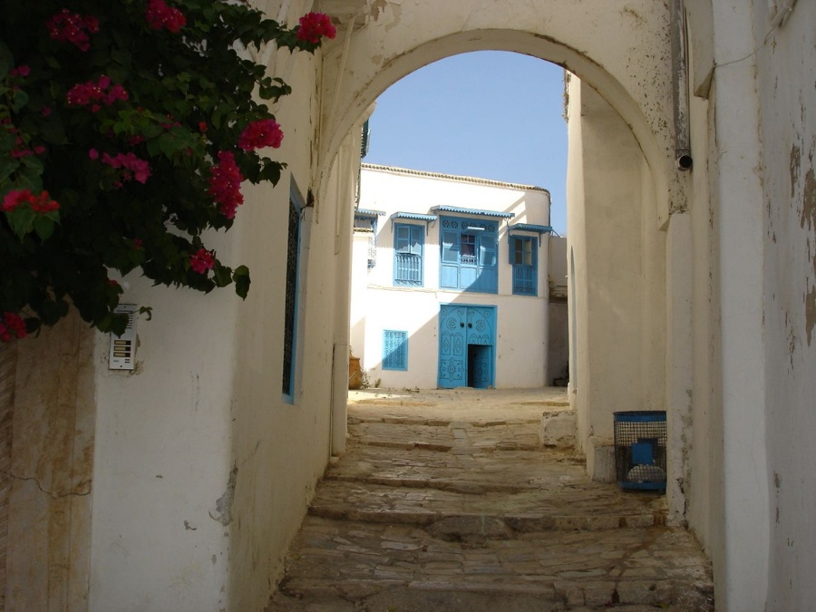 Тунис - Сиди Бу Саид (Sidi Bou Said). Фото №2