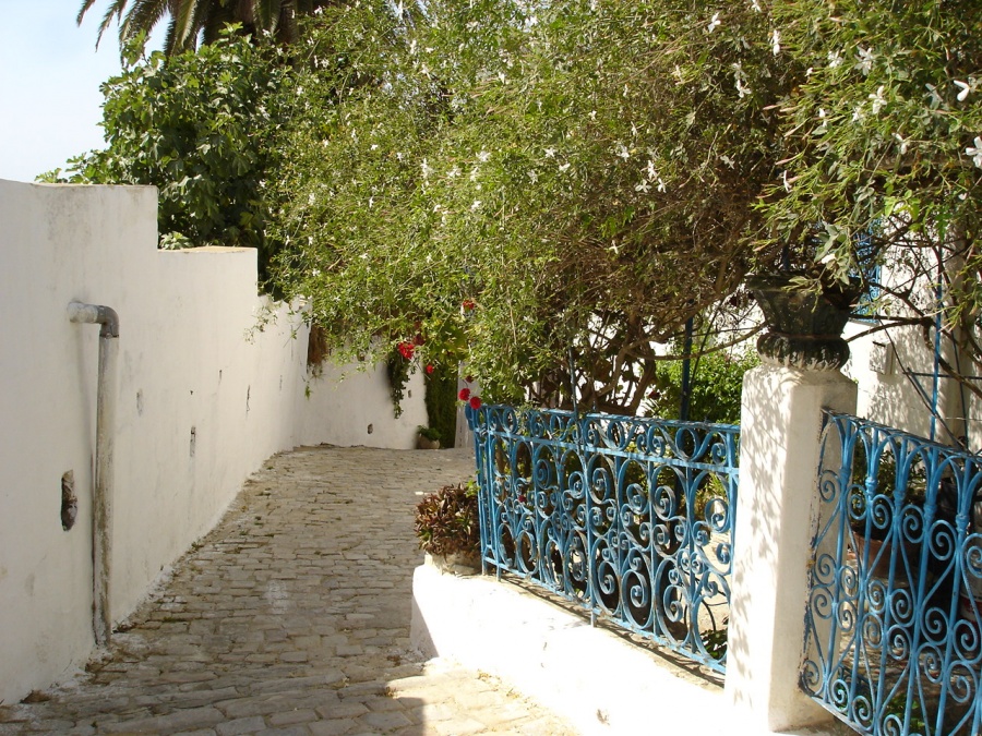 Тунис - Сиди Бу Саид (Sidi Bou Said). Фото №15