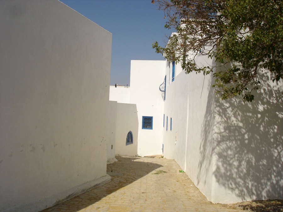 Сиди Бу Саид (Sidi Bou Said) - Фото №16