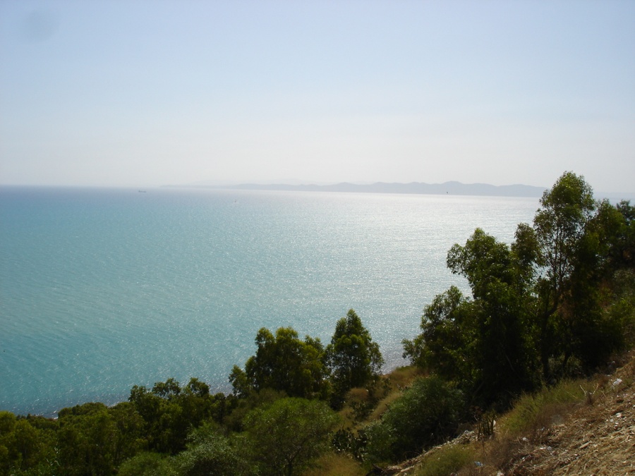 Сиди Бу Саид (Sidi Bou Said) - Фото №18