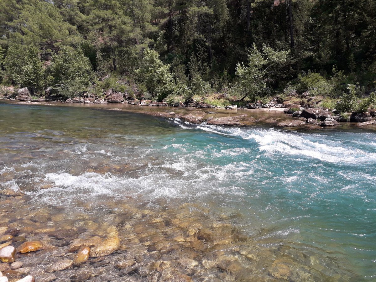 Турция - Конаклы. Фото №38