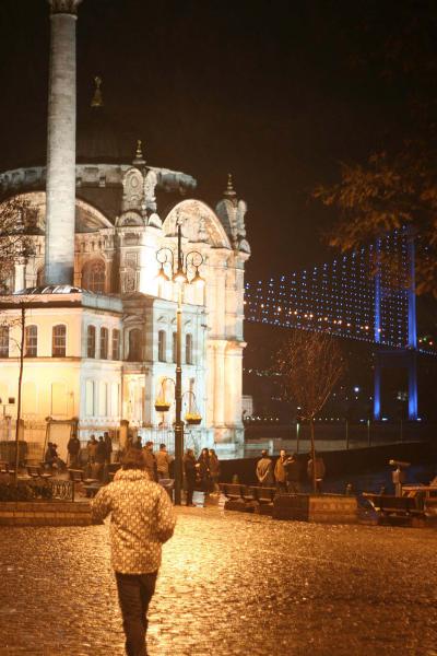 Турция - Стамбул. Фото №11