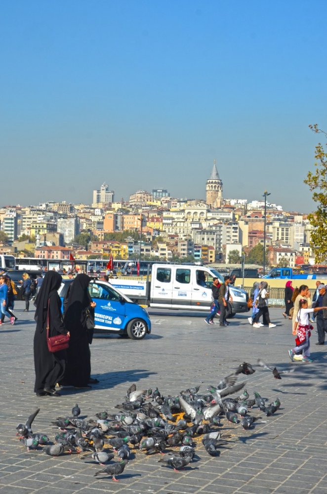 Турция - Стамбул. Фото №33