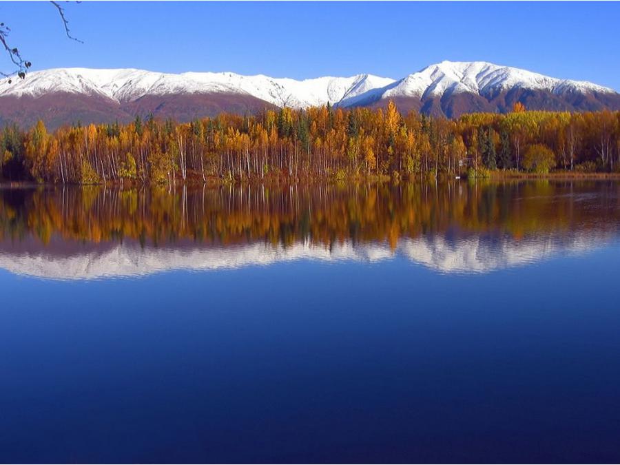 Особенности аляски