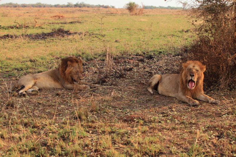 Уганда - Фото №17