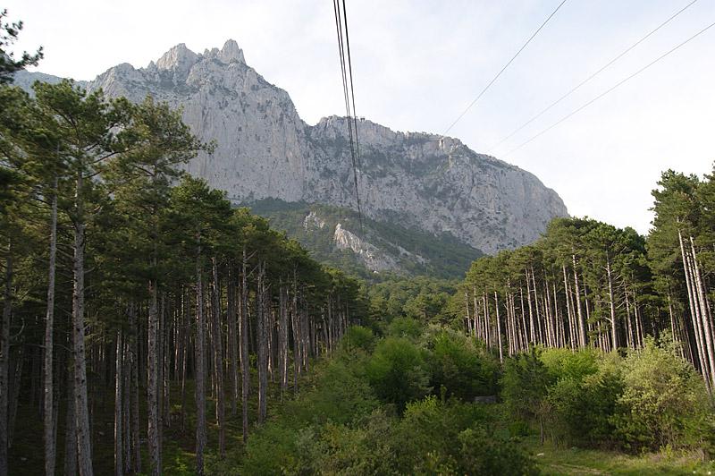 Украина - Алупка. Фото №24