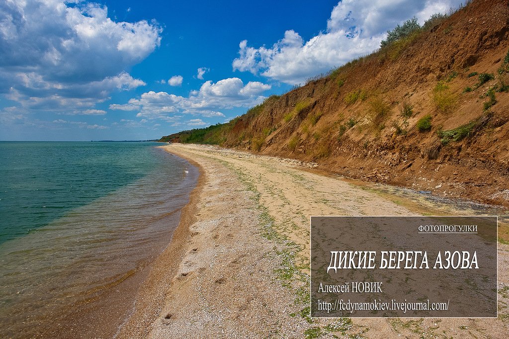 Украина - Азовское море. Фото №1