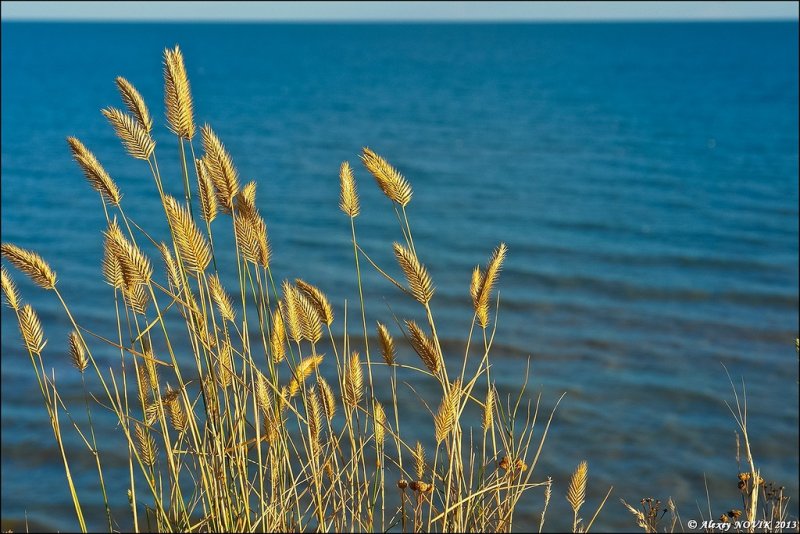 Азовское море - Фото №30